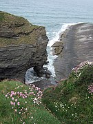 A los pies y a la derecha del arco natural «Den's Door» (al norte de Broad Haven en la bahía de St Bride, Reino Unido) aparece «Sleek Stone«, una estructura rocosa inclinada de origen sedimentario, aparentemente monoclinal.