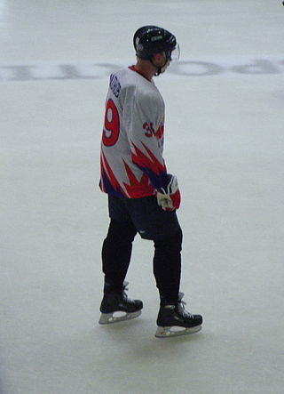 <span class="mw-page-title-main">Denis Platonov</span> Russian ice hockey player