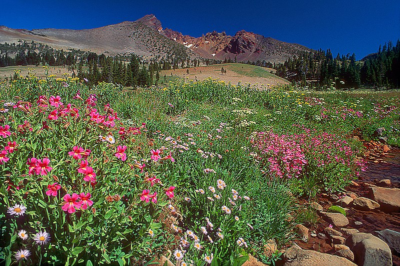 File:Deschutes National Forest Broken Top Soda Creek (36696218150).jpg