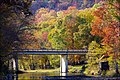 Red, green and orange fall foliage surrounds a small bridge spanning a quiet, rocky Lee Creek