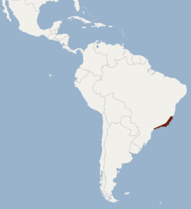 Distribution of Lonchophylla peracchii.png