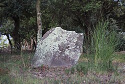 Immagine illustrativa dell'articolo Dolmen de la Creu del Senyal