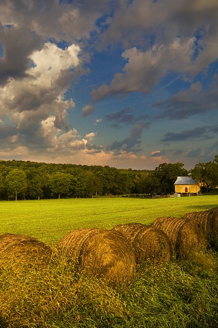 Douglas County Kansas USA.jpg