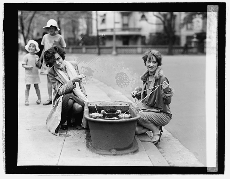 File:Ducks in watering trough, 4-21-27 LCCN2016843076.jpg