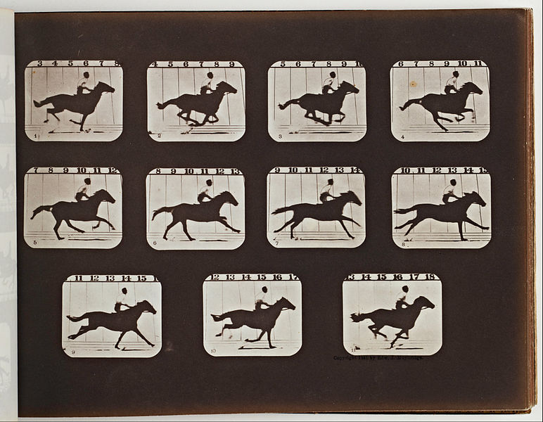 File:Eadweard Muybridge - Sallie Gardner Running from The Attitudes of Animals in Motion - Google Art Project.jpg