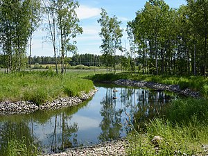 Slingrande å vid Gillbo.