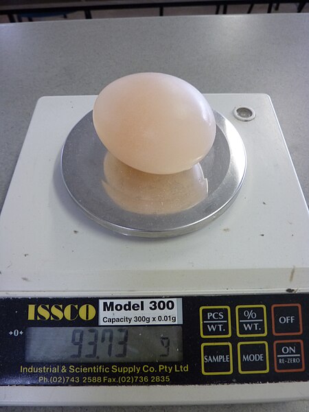 File:Egg osmosis experiment (4781928289).jpg