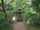 One of the three ponds in Christiansenpark (Flensburg) .JPG