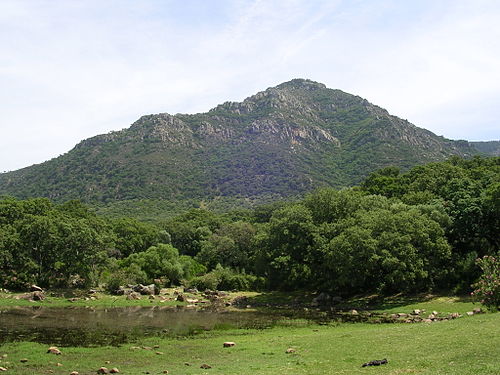 Los Alcornocales Natural Park things to do in Río de la Miel