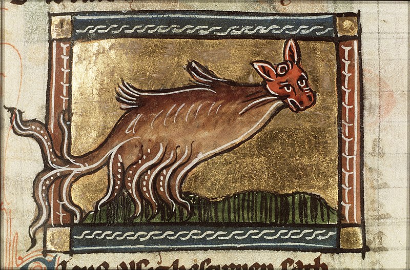 File:Eleus (sea-calf) - Der naturen bloeme - Jacob van Maerlant - KB KA 16 - 106r a1.jpg