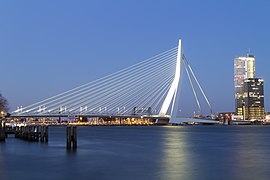 Erasmusbrug w Rotterdamie