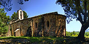 Miniatura per Alzina de l'Ermita de les Arenes