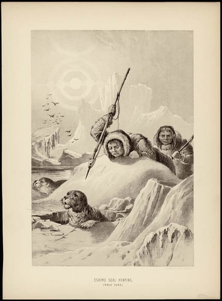Inuit seal hunting