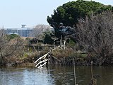 Català: El Remolar-Filipines o Pas de les Vaques (Baix Llobregat) (El Prat de Llobregat, Sant Boi de Llobregat, Viladecans). Desembocadures històriques de rius i rieres. This is a a photo of a wetland in Catalonia, Spain, with id: IZHC-08001104 Object location 41° 17′ 02.4″ N, 2° 03′ 54″ E  View all coordinates using: OpenStreetMap