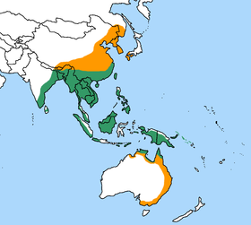 Phân bố tự nhiên của yểng quạ.