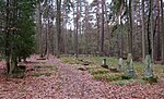 Försterfriedhof Barsberge