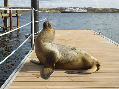 Stanley, Falkland Islands