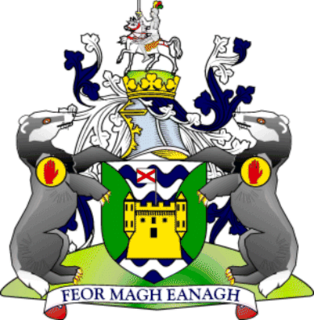 <span class="mw-page-title-main">County Fermanagh</span> County in Northern Ireland