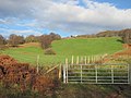 Fields seen from the Taff Trail-Celtic Trail - geograph.org.uk - 3262389.jpg
