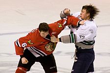 Lucha en hockey sobre hielo 2009.JPG