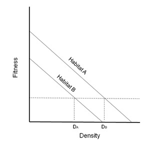 <span class="mw-page-title-main">Isodar</span>