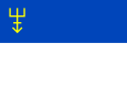 Flag of Edineț.svg