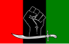 Flag of PPP-SB.svg