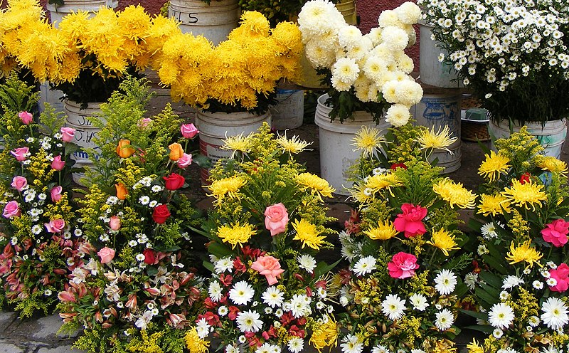 File:Flores del mercado. - panoramio.jpg