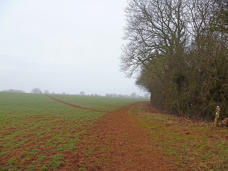 File:Footpath junction - geograph.org.uk - 2900659.jpg