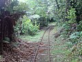 Nihotupu Tramline in den Waitākere Ranges