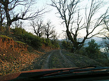 Wald im Bereich der Ortschaft Tripotamos