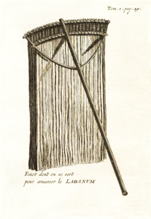 Whip used to collect labdanum (Tournefort, 1718, Voyage du Levant) Fouet a ladanum Tournefort 1718 Amsterdam 1 29.png