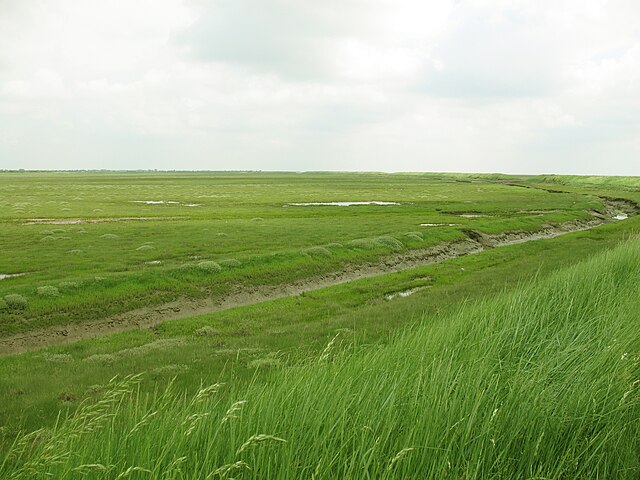 Freiston Shore Managed Realignment site, Lincolnshire