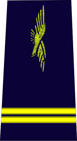 File:French Air Force-lieutenant.svg