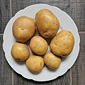 Kartoffelsorte Gala