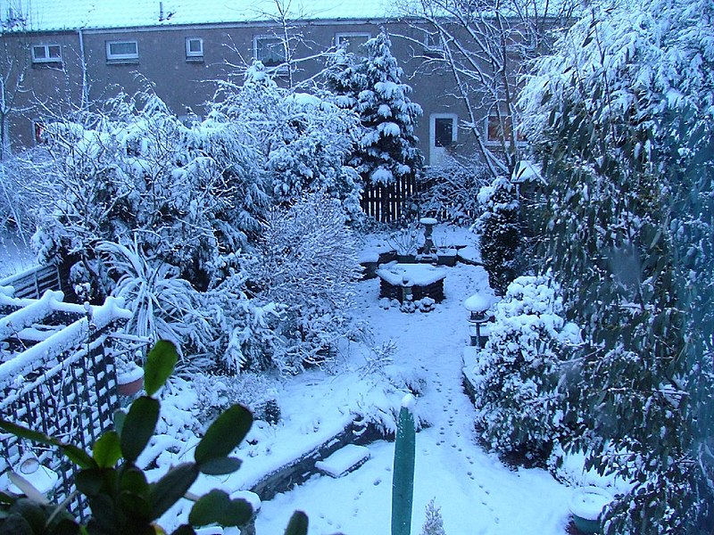 File:Garden in winter. - panoramio.jpg