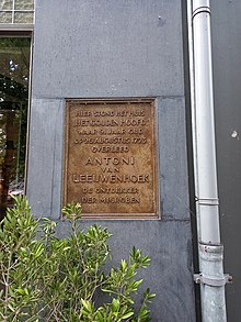 Antoni van Leeuwenhoek