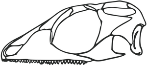 Gephyrosaurus.png