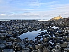 Basalt columns at Giant's Causeway Giant Causrway Jan 2018.jpg