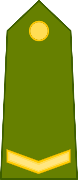 File:Haiti-Army-OF-1a.svg