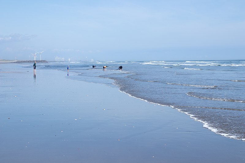 File:Hasaki Beach, Ibaraki 13.jpg