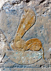 Wadjet depicted alongside Nekhbet on a block from the mortuary temple of Hatshepsut