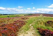 Yorkshire and the Humber