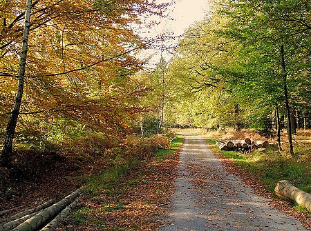 Hertogenwald Eupen