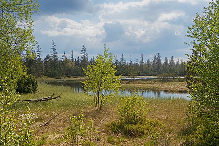 Hohlohsee Kaltenbronn