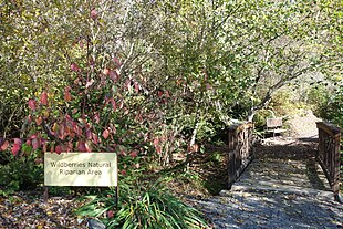 One of the wild areas of the gardens, 2013. Humboldt Botanical Garden - Eureka, California - DSC02579.JPG