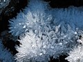 Ice crystals - panoramio.jpg