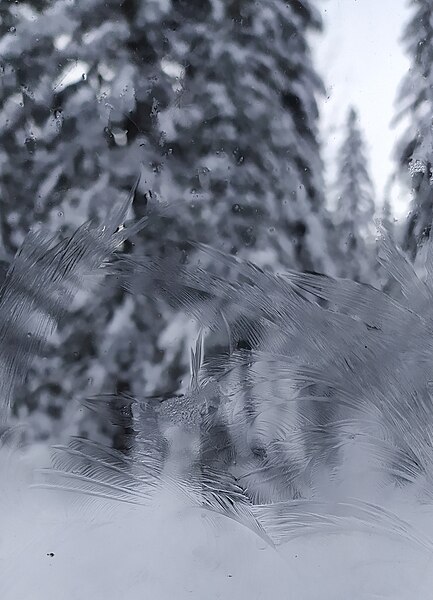 File:Ice on a window.jpg