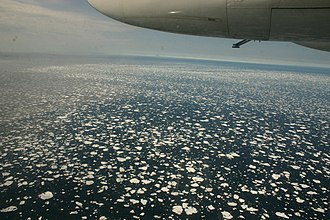 Sea ice northwest of Iceland, similar to that of the main Icelandic Sea, as viewed from an Icelandic Coast Guard aircraft. IcelandicSeaIce.jpg