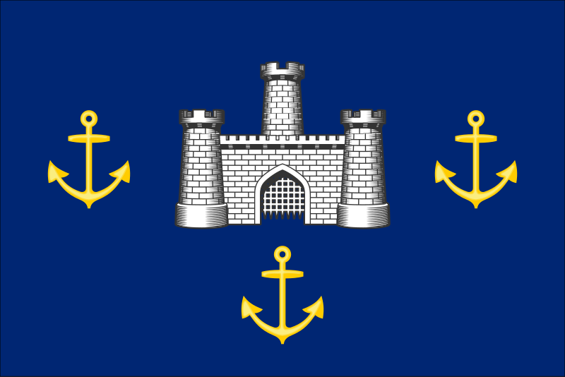 File:Isle of Wight Council Flag.svg